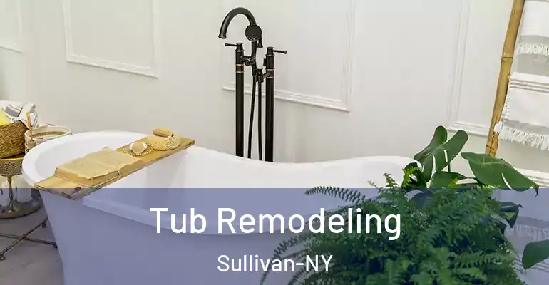 inner Bathroom imggen Tub Remodeling Sullivan-NY