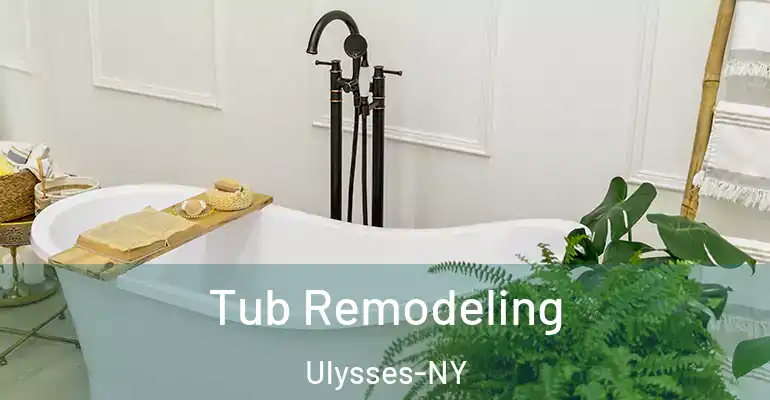 inner Bathroom imggen Tub Remodeling Ulysses-NY