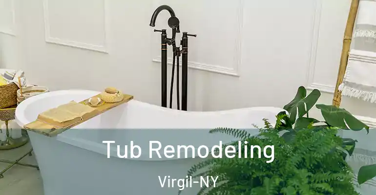 inner Bathroom imggen Tub Remodeling Virgil-NY