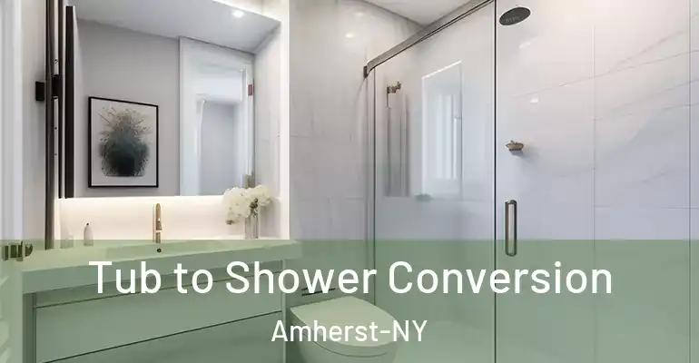 inner Bathroom imggen Tub to Shower Conversion Amherst-NY
