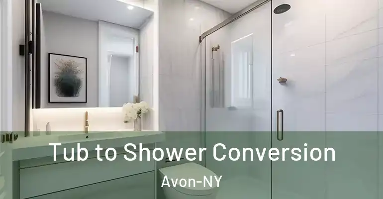 inner Bathroom imggen Tub to Shower Conversion Avon-NY