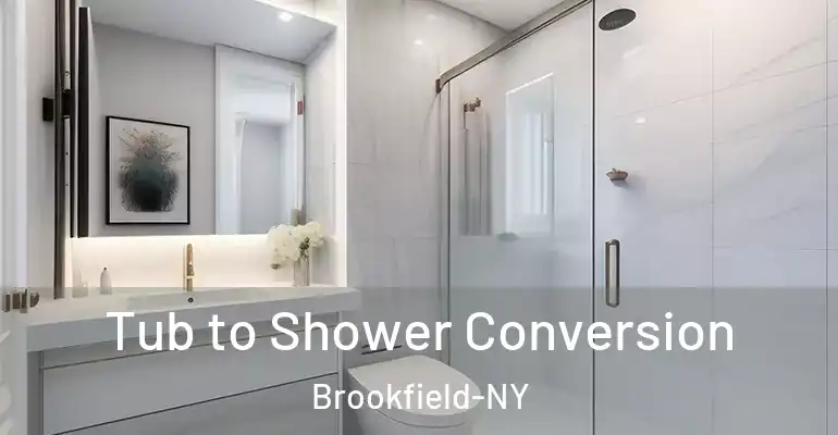 inner Bathroom imggen Tub to Shower Conversion Brookfield-NY