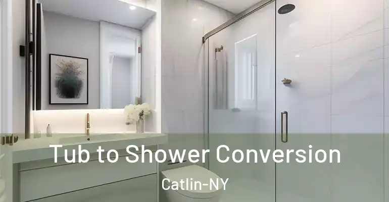 inner Bathroom imggen Tub to Shower Conversion Catlin-NY