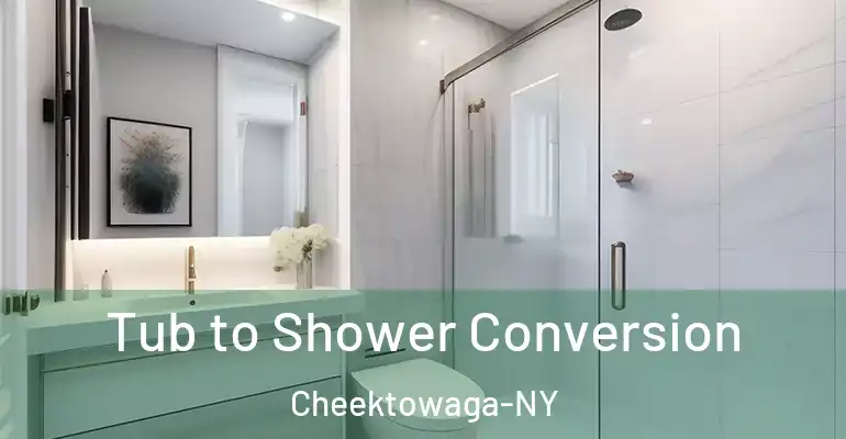 inner Bathroom imggen Tub to Shower Conversion Cheektowaga-NY