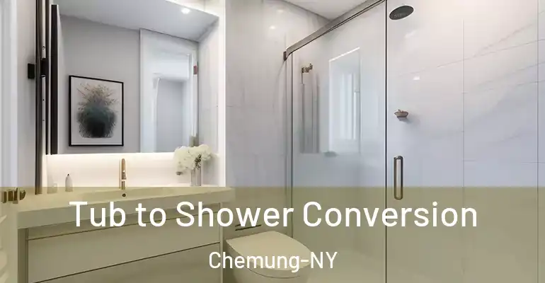 inner Bathroom imggen Tub to Shower Conversion Chemung-NY