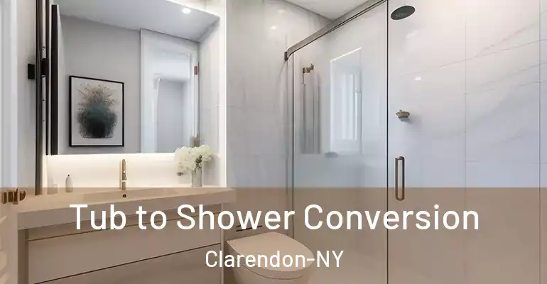 inner Bathroom imggen Tub to Shower Conversion Clarendon-NY