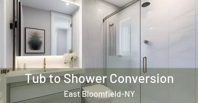 inner Bathroom imggen Tub to Shower Conversion East Bloomfield-NY