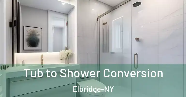 inner Bathroom imggen Tub to Shower Conversion Elbridge-NY