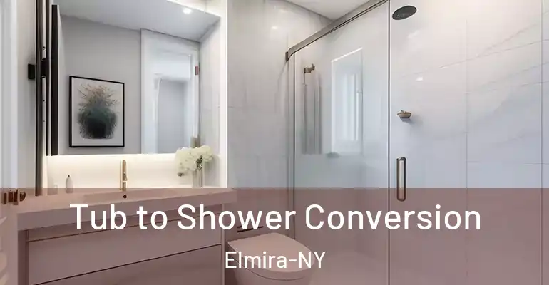 inner Bathroom imggen Tub to Shower Conversion Elmira-NY