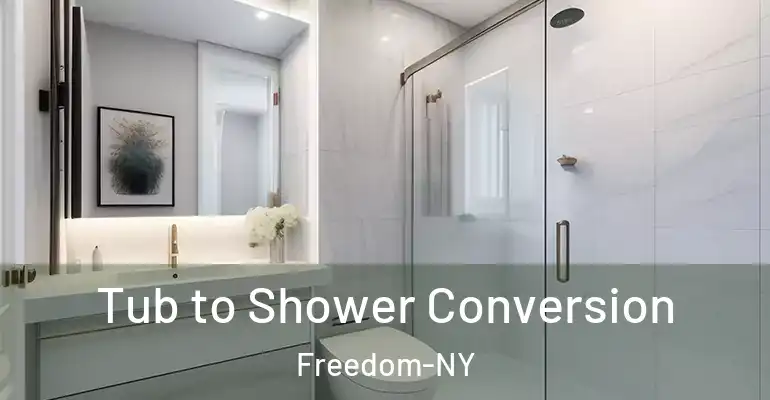 inner Bathroom imggen Tub to Shower Conversion Freedom-NY
