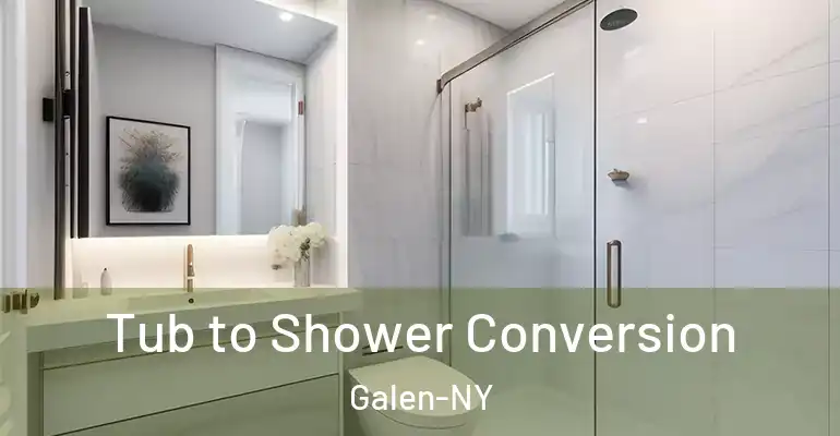 inner Bathroom imggen Tub to Shower Conversion Galen-NY