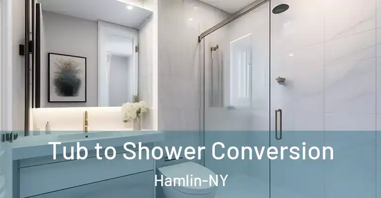 inner Bathroom imggen Tub to Shower Conversion Hamlin-NY