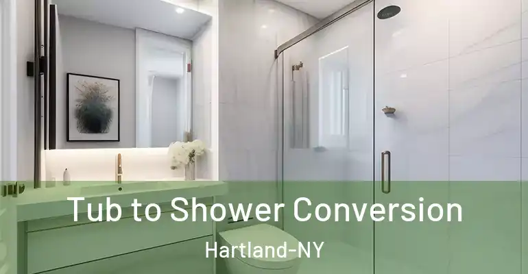 inner Bathroom imggen Tub to Shower Conversion Hartland-NY