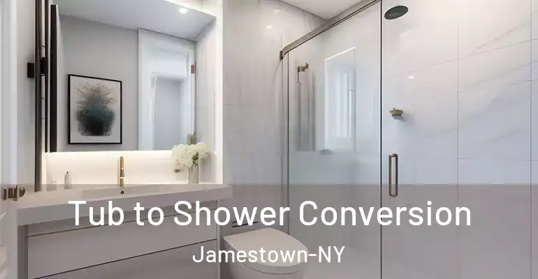 inner Bathroom imggen Tub to Shower Conversion Jamestown-NY