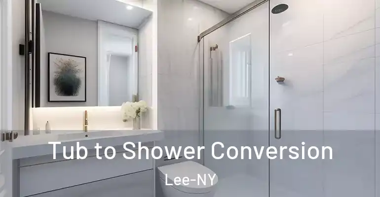 inner Bathroom imggen Tub to Shower Conversion Lee-NY