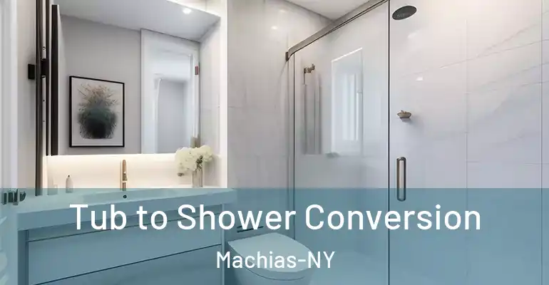inner Bathroom imggen Tub to Shower Conversion Machias-NY