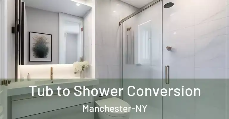 inner Bathroom imggen Tub to Shower Conversion Manchester-NY