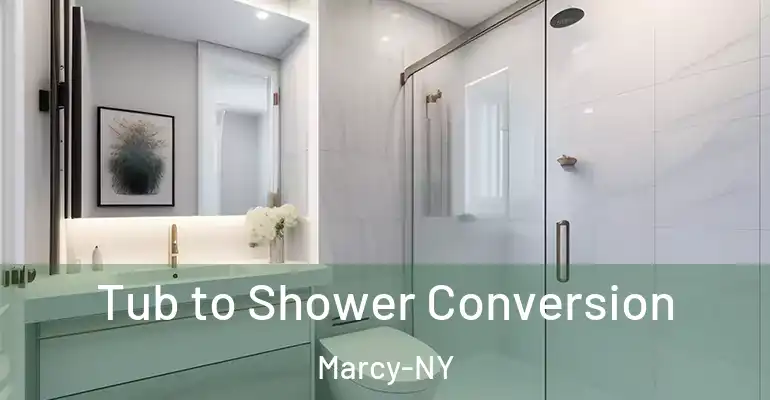 inner Bathroom imggen Tub to Shower Conversion Marcy-NY