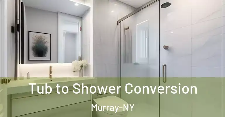 inner Bathroom imggen Tub to Shower Conversion Murray-NY