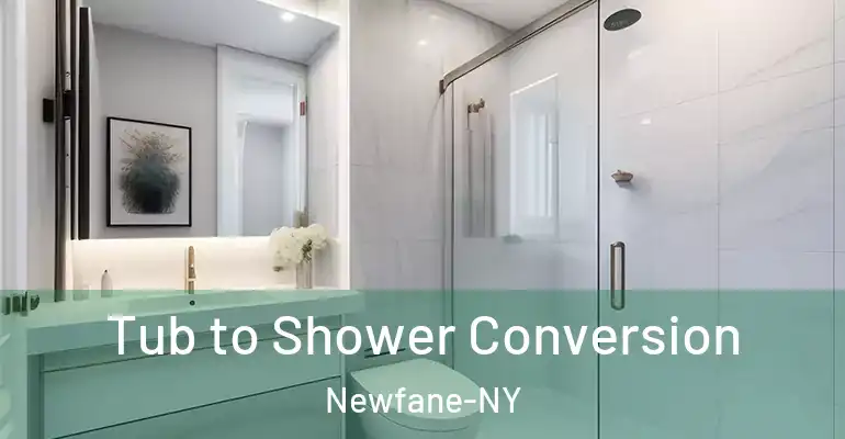 inner Bathroom imggen Tub to Shower Conversion Newfane-NY