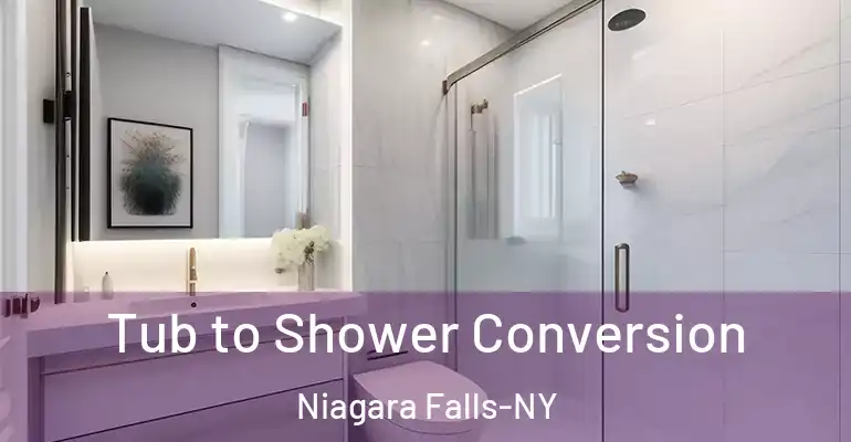 inner Bathroom imggen Tub to Shower Conversion Niagara Falls-NY