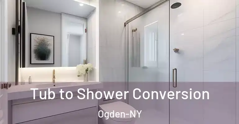 inner Bathroom imggen Tub to Shower Conversion Ogden-NY