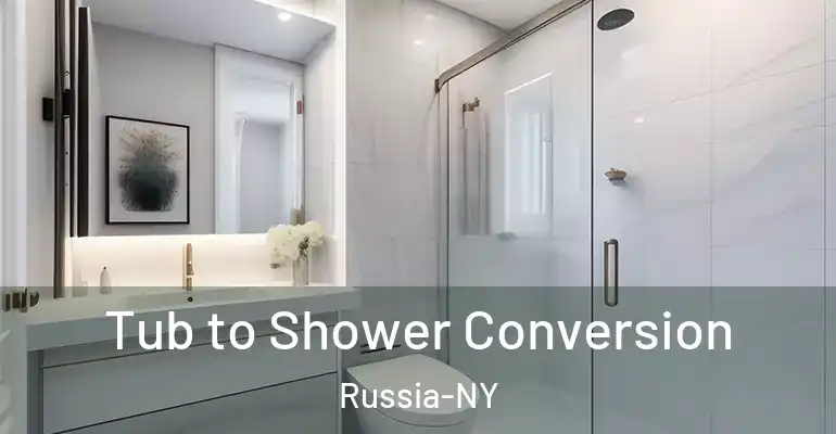 inner Bathroom imggen Tub to Shower Conversion Russia-NY