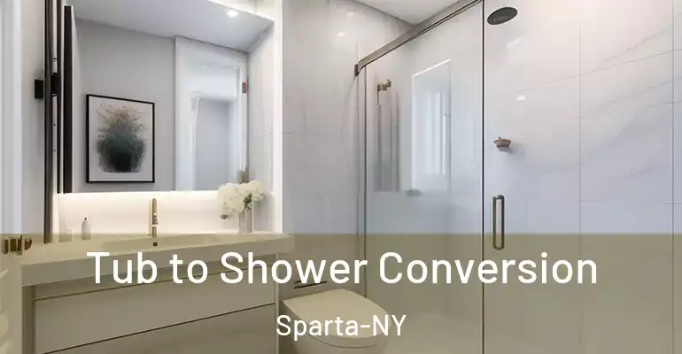 inner Bathroom imggen Tub to Shower Conversion Sparta-NY