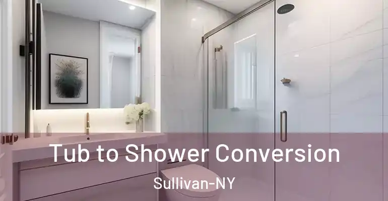 inner Bathroom imggen Tub to Shower Conversion Sullivan-NY