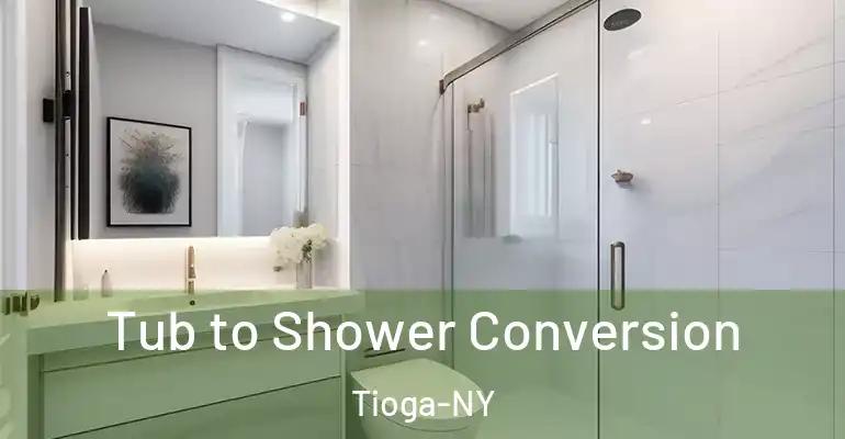 inner Bathroom imggen Tub to Shower Conversion Tioga-NY