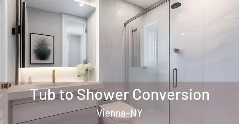 inner Bathroom imggen Tub to Shower Conversion Vienna-NY