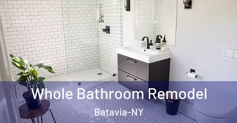 inner Bathroom imggen Whole Bathroom Remodel Batavia-NY