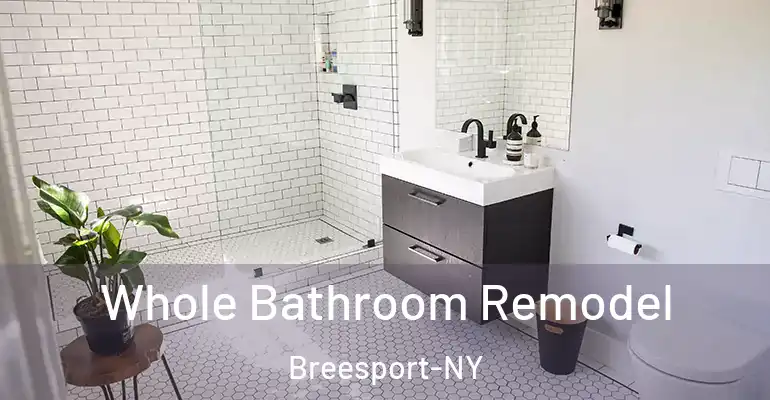 inner Bathroom imggen Whole Bathroom Remodel Breesport-NY