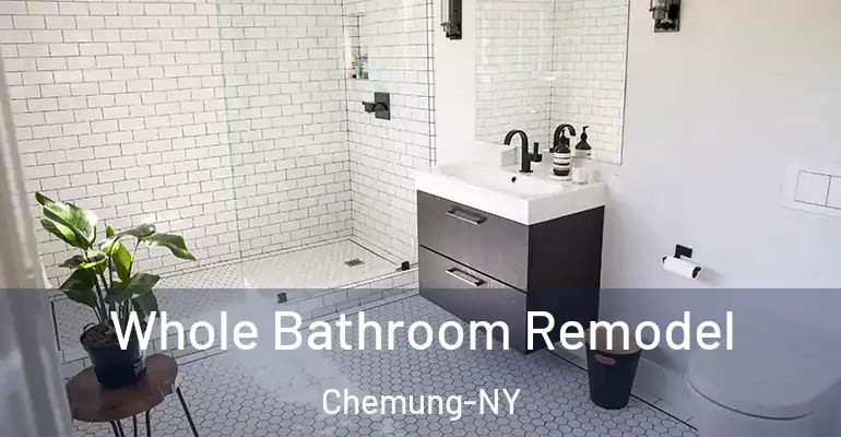inner Bathroom imggen Whole Bathroom Remodel Chemung-NY