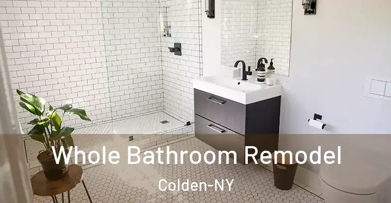 inner Bathroom imggen Whole Bathroom Remodel Colden-NY