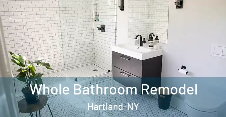 inner Bathroom imggen Whole Bathroom Remodel Hartland-NY