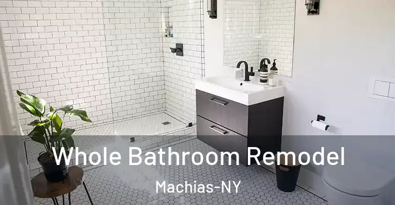 inner Bathroom imggen Whole Bathroom Remodel Machias-NY