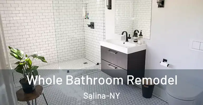inner Bathroom imggen Whole Bathroom Remodel Salina-NY